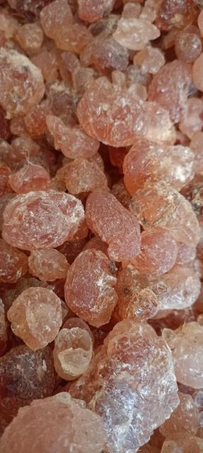 GUM Arabic Acacia Senegal - Product Image 5