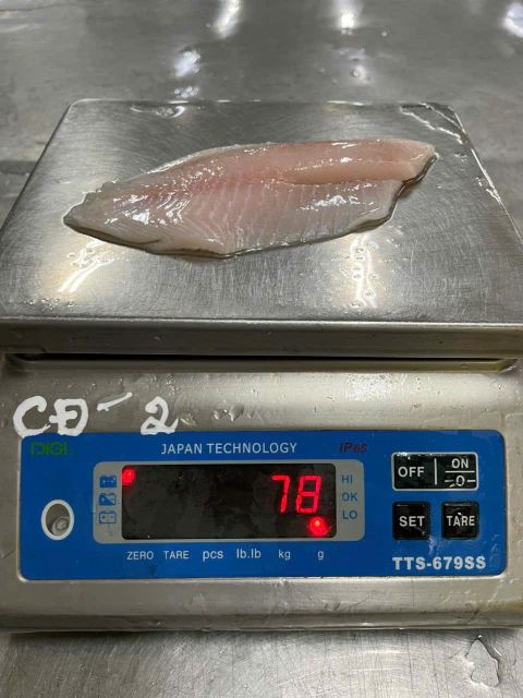 Tilapia-Baloni