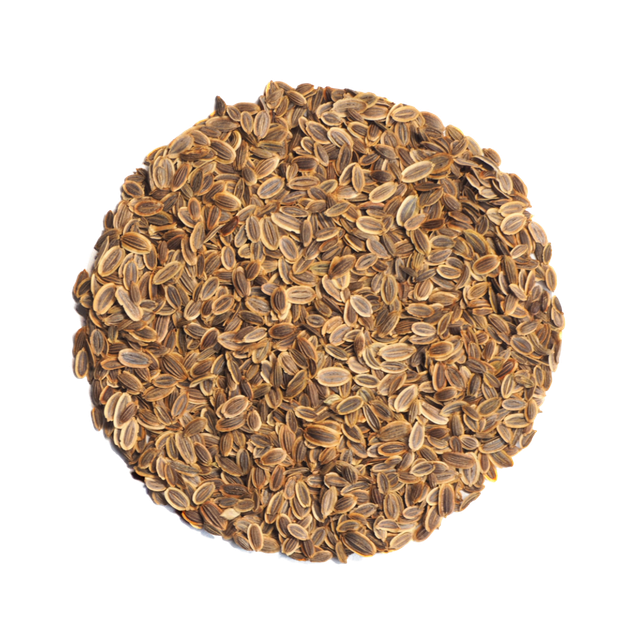 Dill Seed Image 3
