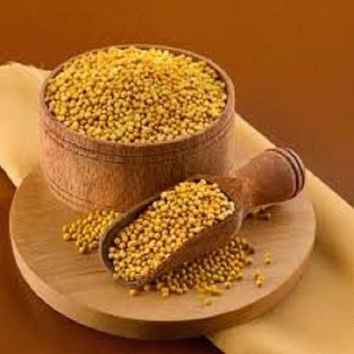 Premium Mustard Seeds