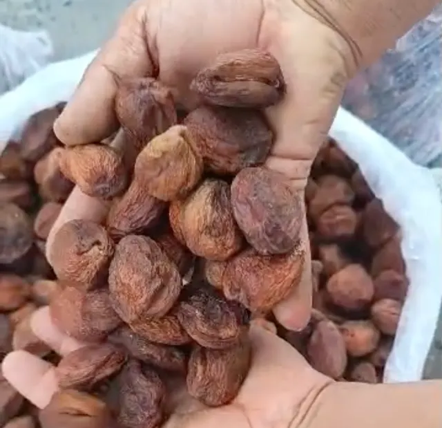 Dried Apricot Product