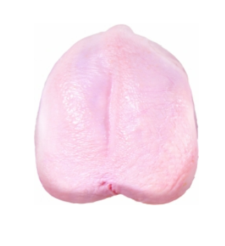 Halal Certified Chicken Breast Packaging