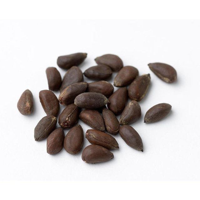 Premium Cotton Seeds 1