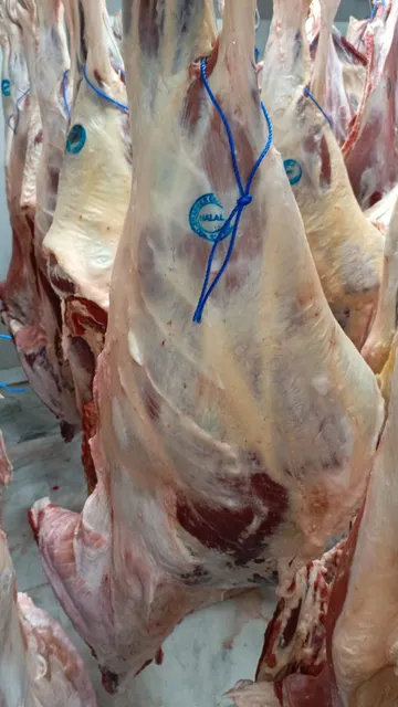 Fresh Chilled Bull Beef Cut 1