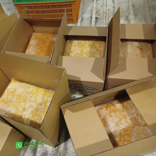 Frozen Mango 5