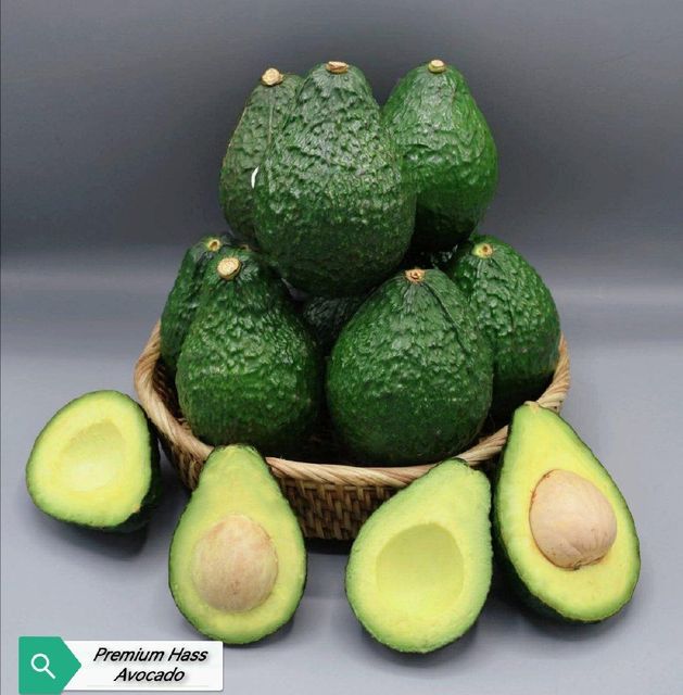 Fresh Avocado