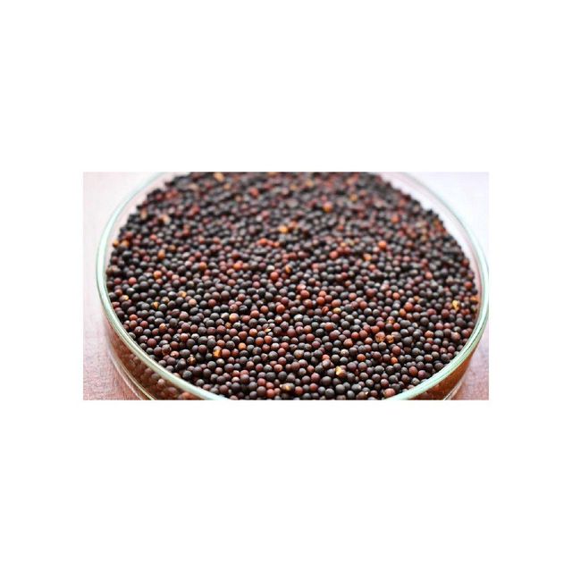 Rapeseed Product Image 2