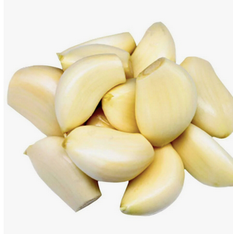 Fresh White Garlic