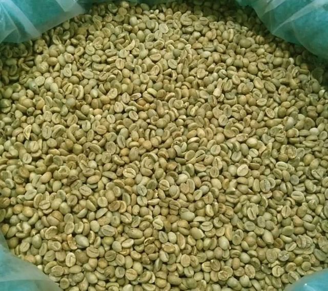 Vietnam Robusta Green Coffee Beans - Image 1