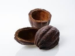 Cocoa Shell Product 1