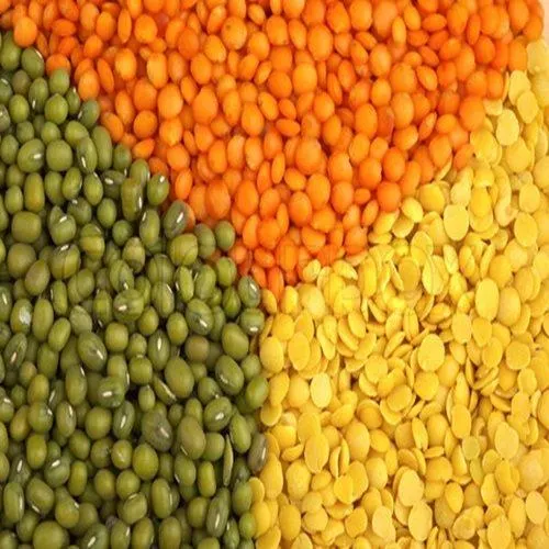Green Lentils Image 1