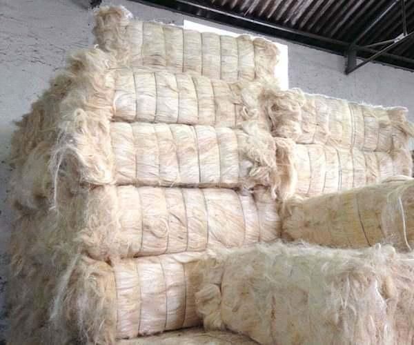 Sisal Fiber Mat