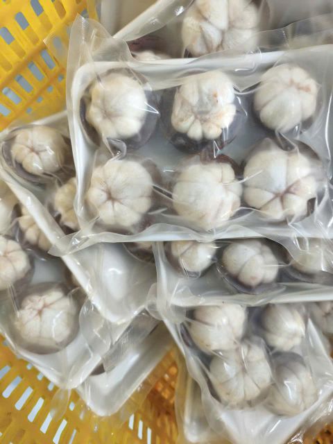 Frozen Mangosteen 3