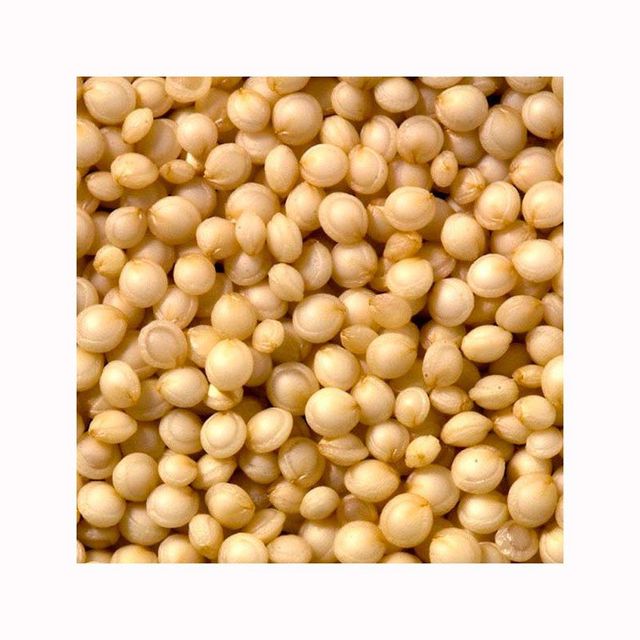 White Quinoa Seed Product Image 2