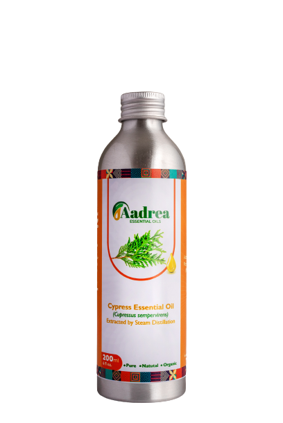 Cypress Essential Oil Bottle
