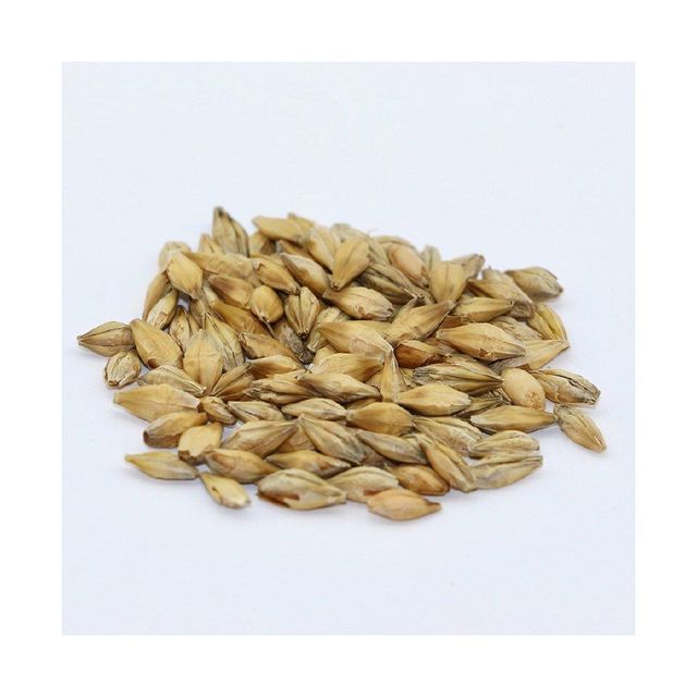 Barley Grain 3