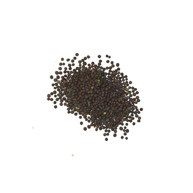 Mustard Seeds - High Quality for Processing