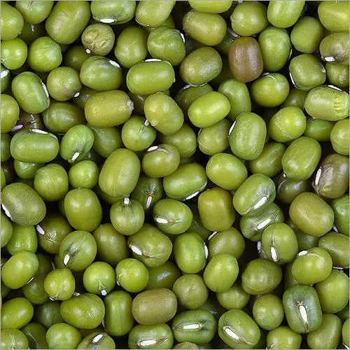 Green Mung Beans 3