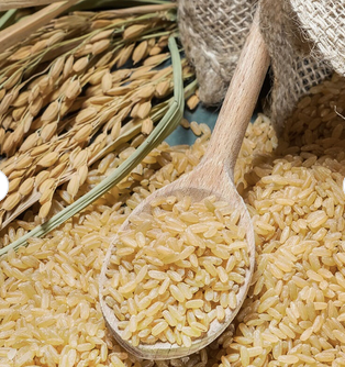 Corn Gluten Meal