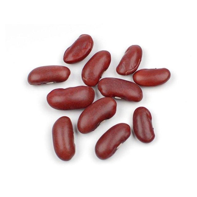 Red Kidney Beans in Bulk
