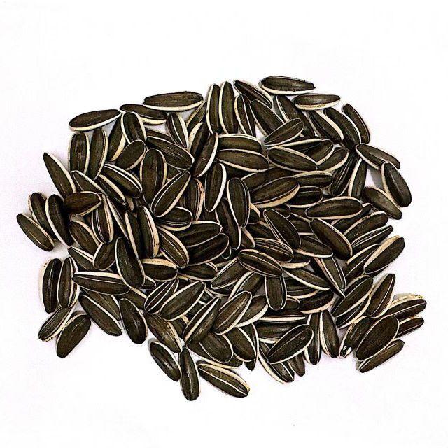 Organic Bird Feed