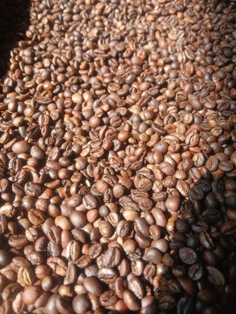 Freeze-dried coffee product 1