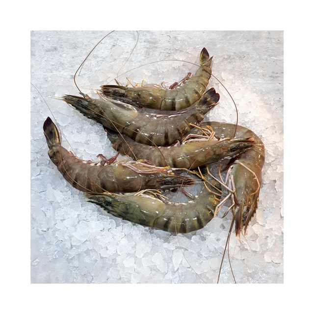 Premium Frozen Tiger Prawn – Small Box