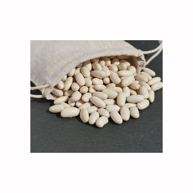 White Kidney Beans 2