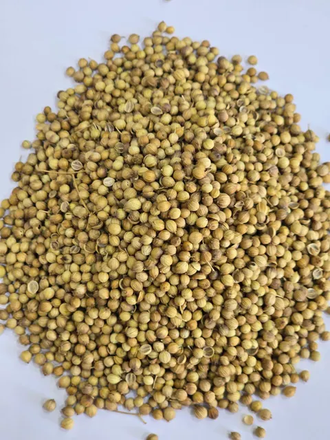 Coriander Products