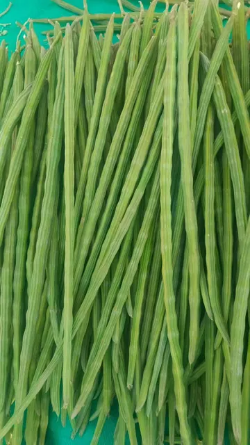 Fresh Drumstick Pods