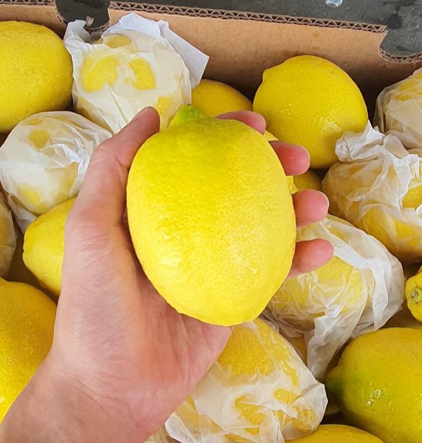 Fresh Eureka Lemon