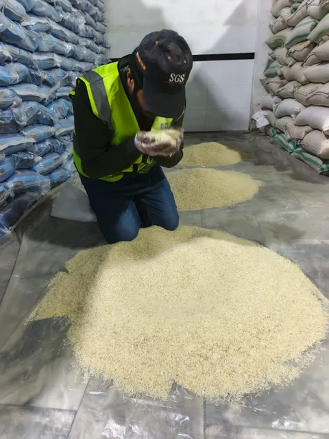 Close up showing length and quality of 1121 Golden Sella Basmati Rice