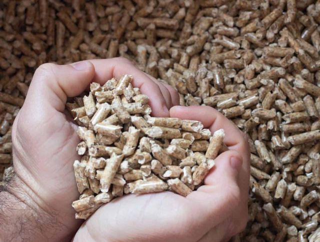 Wood Pellet in Container