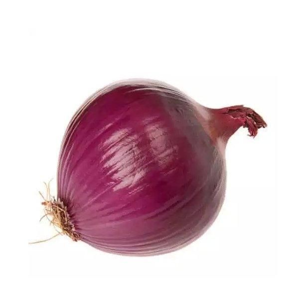 Fresh red onion