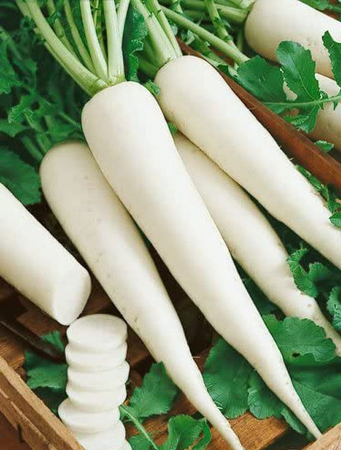 Fresh radish in bulk
