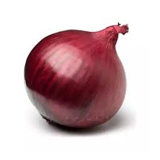 Fresh red onion