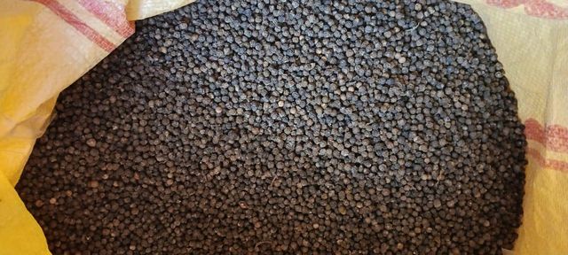 Black Pepper Health Benefits
