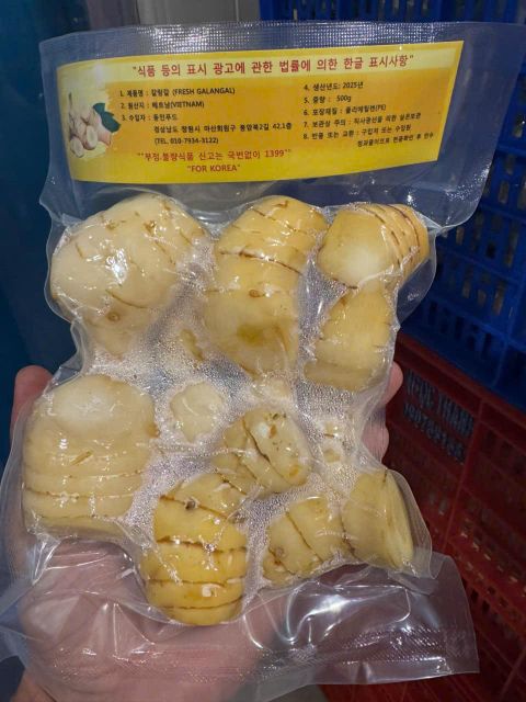 Fresh Galangal 1