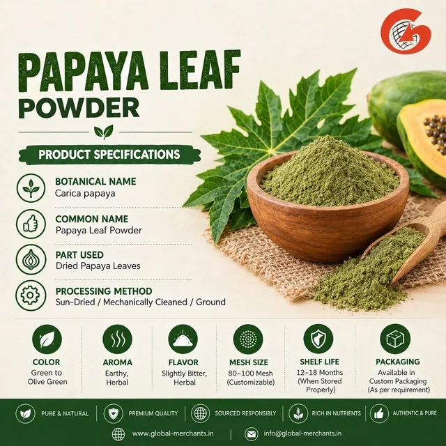 Papaya Leaf Powder – 100% Pure Natural Carica papaya Leaf Powder