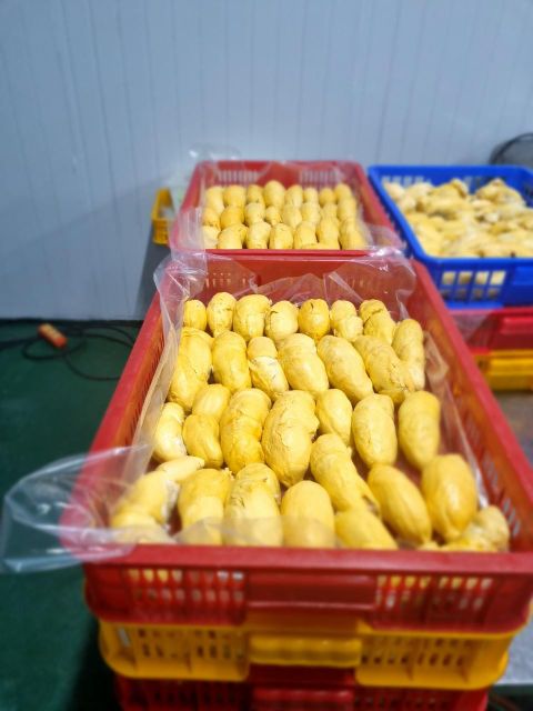 Frozen Durian 3