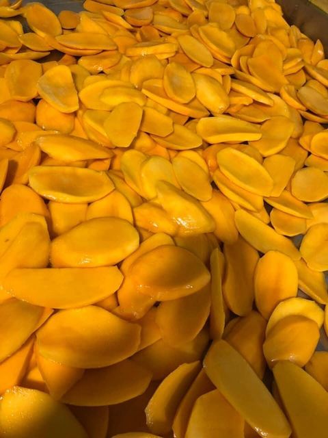 Premium Soft Dried Mango Slice