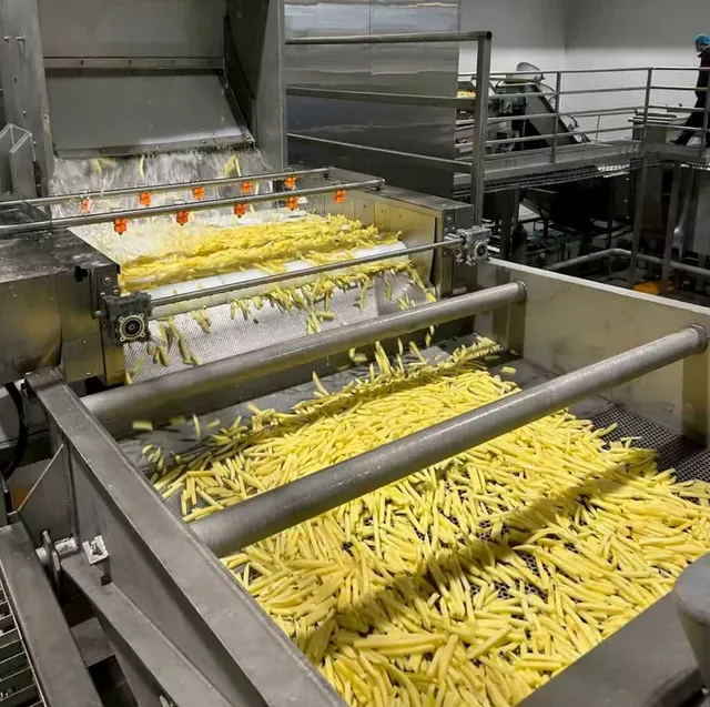 Factory IQF Vegetable Fries