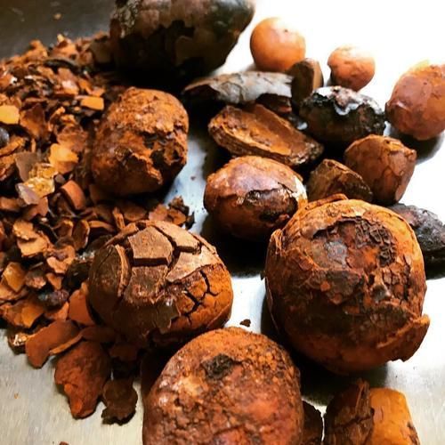 Ox Gallstone Image 3