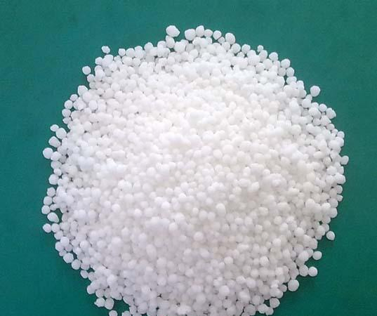 Premium Organic Fertilizer Product Image 2