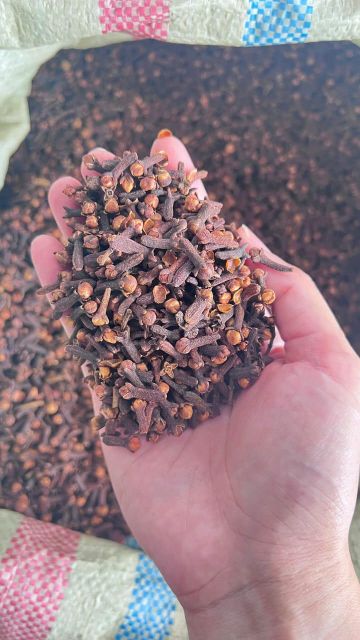 Cloves Lalpari