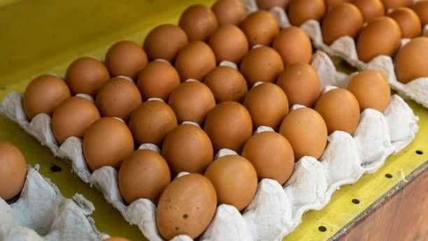 Fresh Frozen Chicken Table Egg Pack