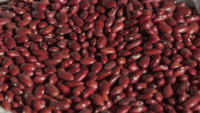 Red Kidney Beans Image 2