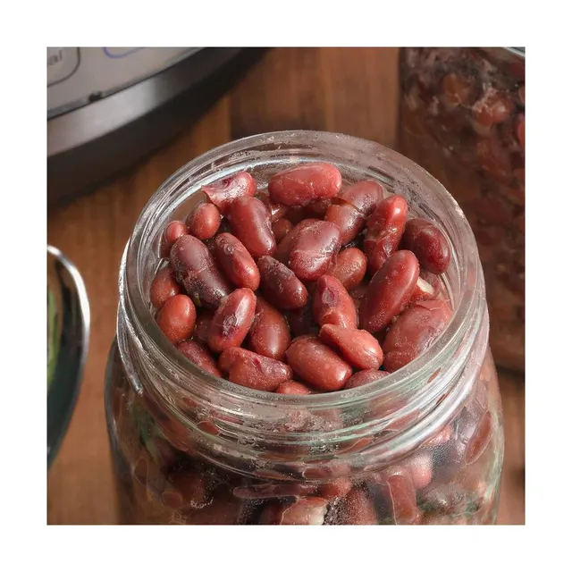 Bulk Dried Red Kidney Beans Heap - Image 3