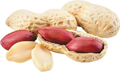 Raw Peanuts (Groundnuts) - Natural Packaging