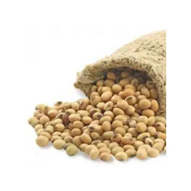 High Grade Yellow Soybeans